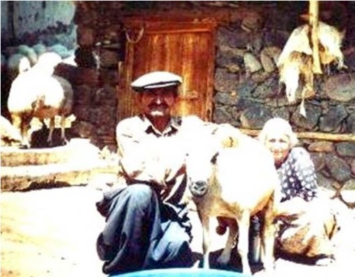 bektaş_fındık karahan.jpg